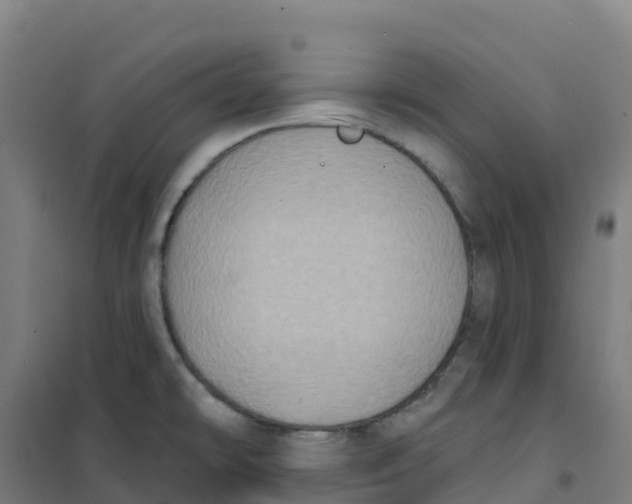 X0000100371478200807031850