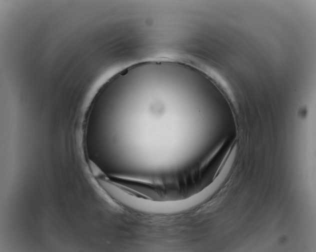 X0000100371480200807031850