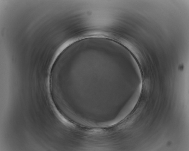 X0000100371482200807031850