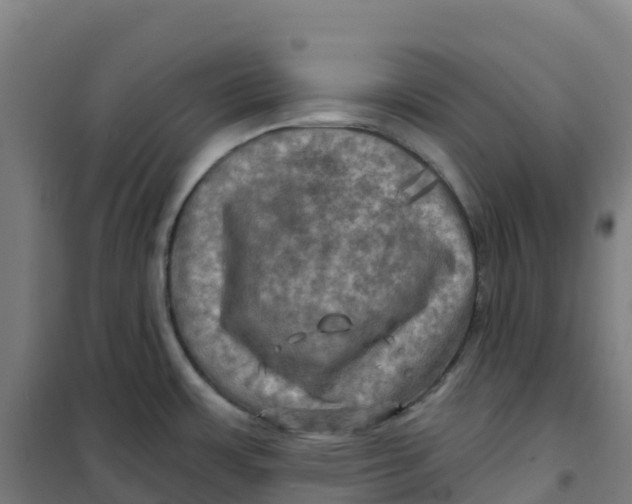 X0000100371483200807031850