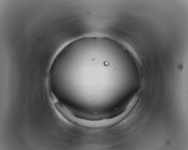 X0000100371484200807031850