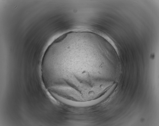 X0000100371485200807031850