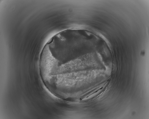 X0000100371487200807031850