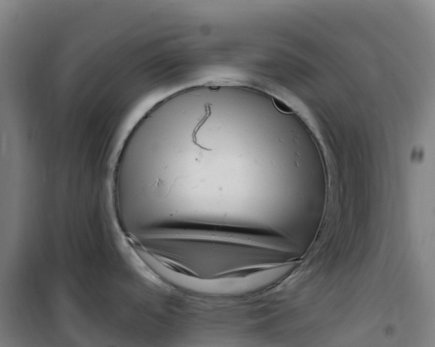 X0000100371488200807031850