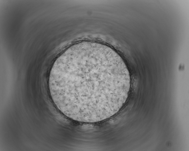 X0000100371489200807031849