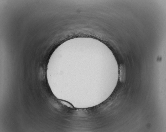 X0000100371491200807031849