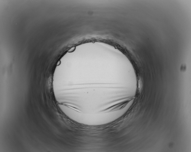 X0000100371492200807031849