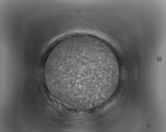 X0000100371494200807031849