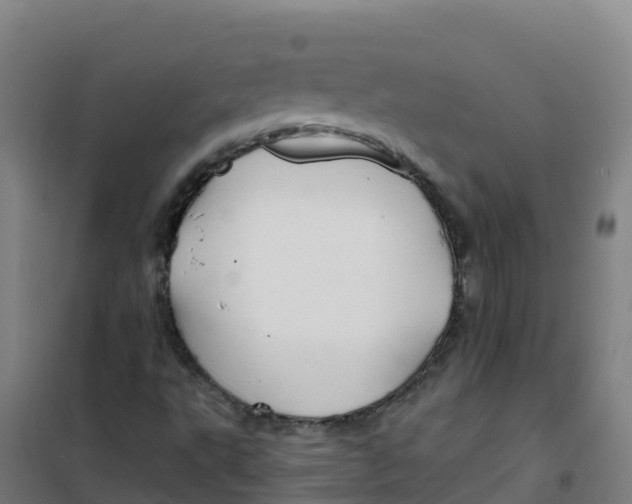 X0000100371495200807031849