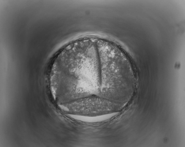 X0000100371496200807031849