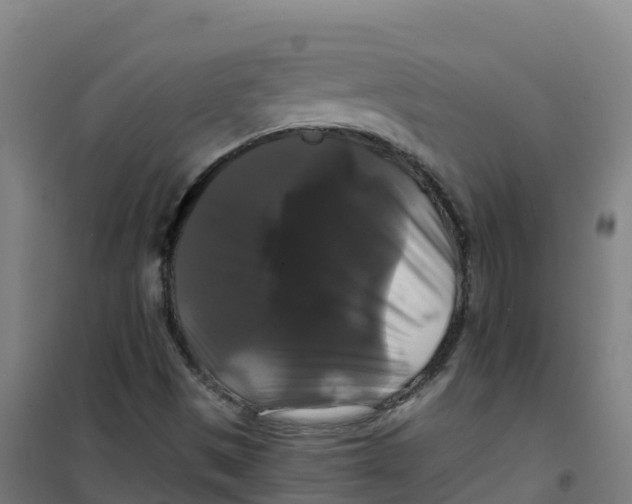 X0000100371497200807031849