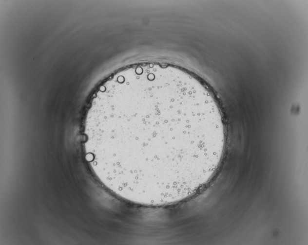 X0000100371498200807031849