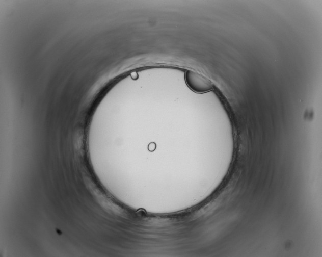 X0000100371499200807031849