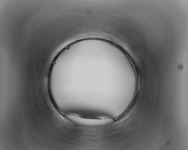 X0000100371500200807031849