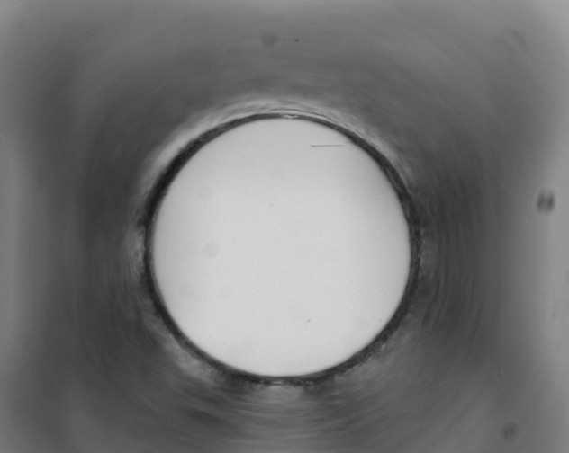 X0000100371503200807031849