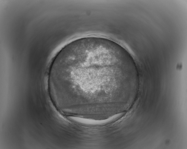 X0000100371504200807031849