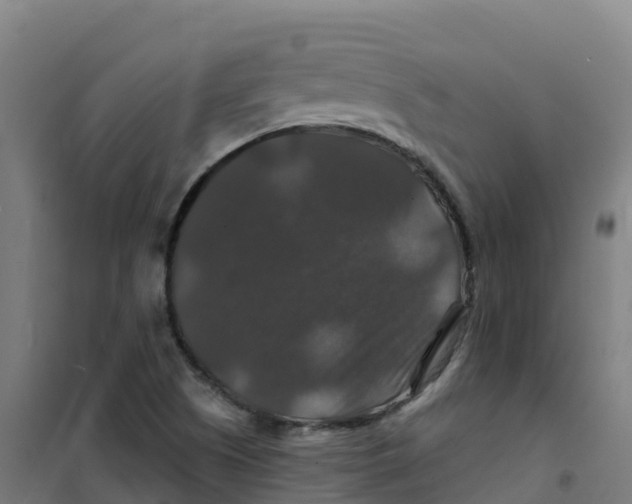 X0000100371505200807031850