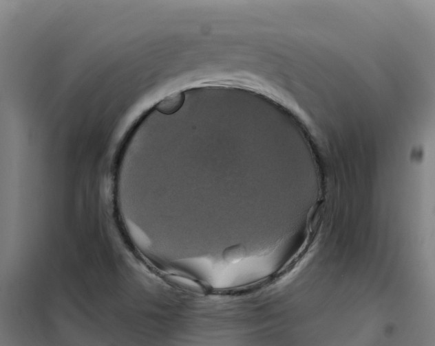 X0000100371506200807031850