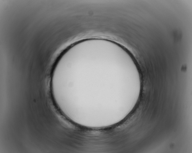 X0000100371507200807031850