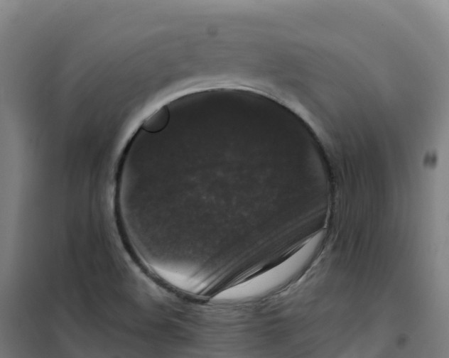 X0000100371508200807031850