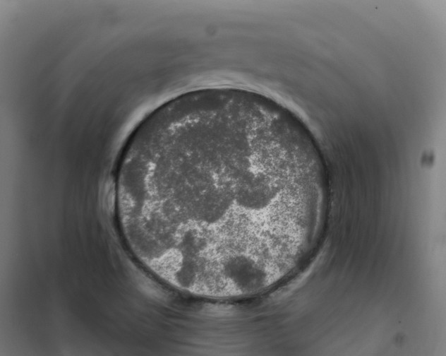 X0000100371509200807031850