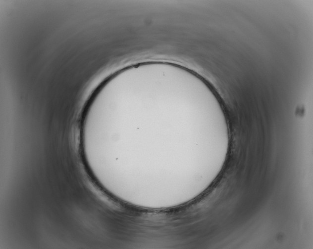 X0000100371511200807031850