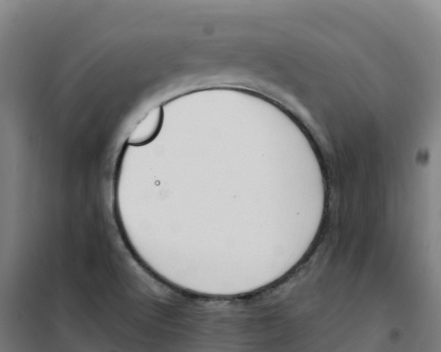 X0000100371512200807031850