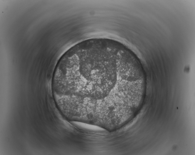 X0000100371513200807031850