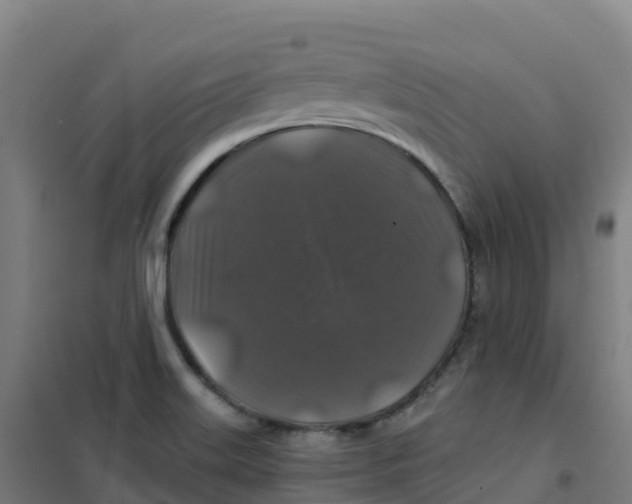 X0000100371515200807031850