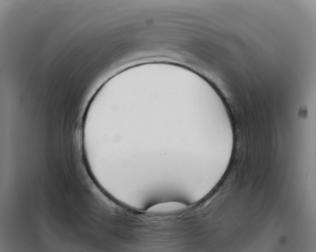 X0000100371516200807031850