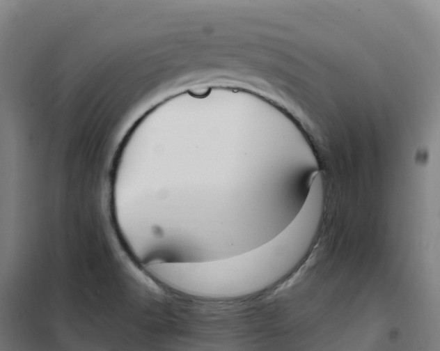 X0000100371518200807031850