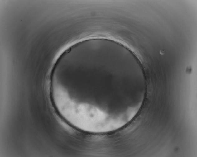 X0000100371519200807031850