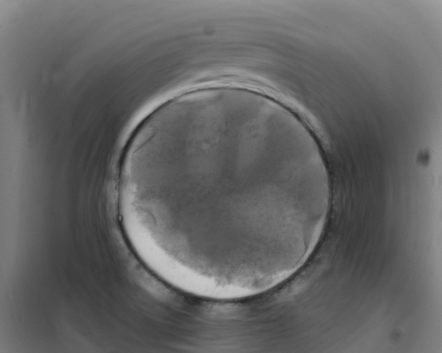 X0000100371522200807031850