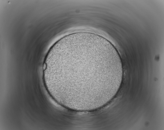 X0000100371523200807031850