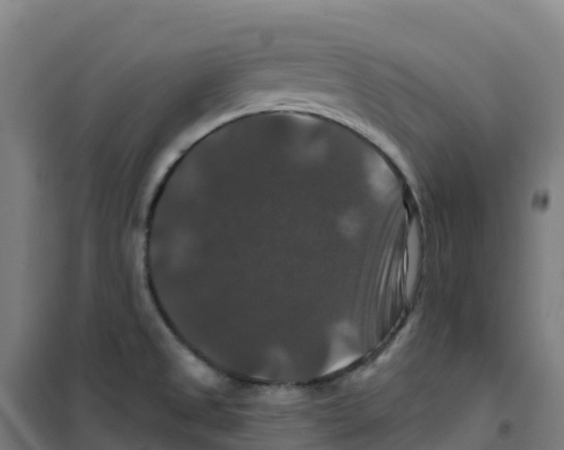 X0000100371525200807031850