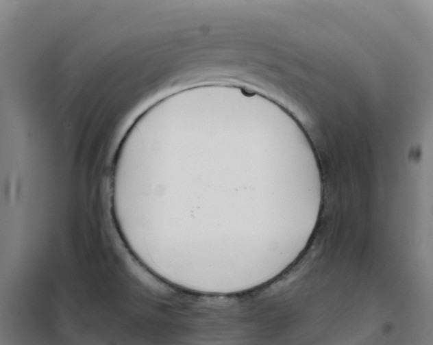 X0000100371526200807031850