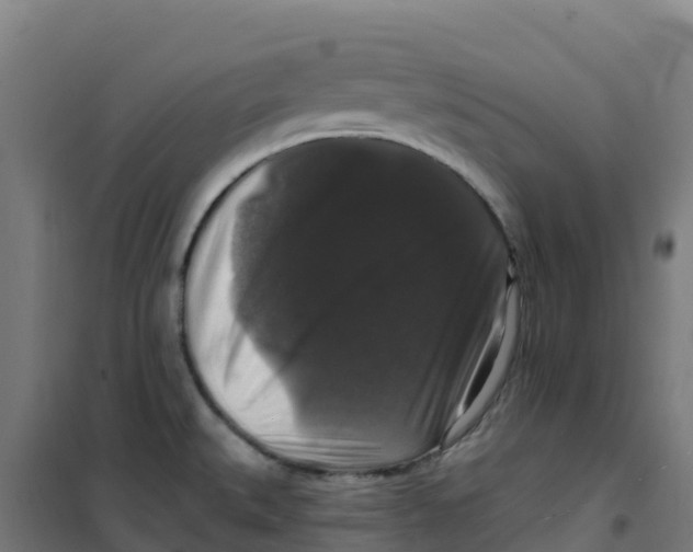 X0000100371527200807031850