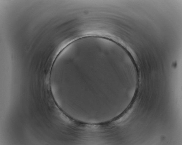 X0000100371529200807031850