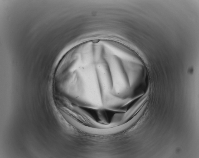 X0000100371530200807031850