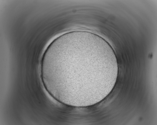 X0000100371531200807031850