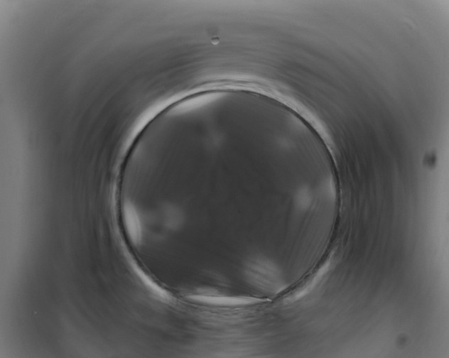 X0000100371533200807031850