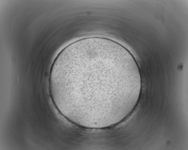 X0000100371534200807031850