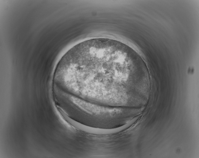 X0000100371536200807031850