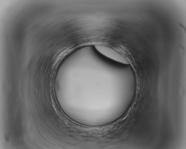 X0000100380001200806060837