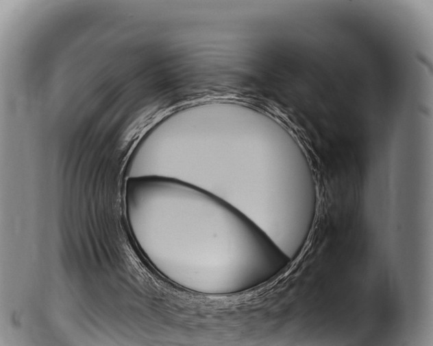 X0000100380002200806060837