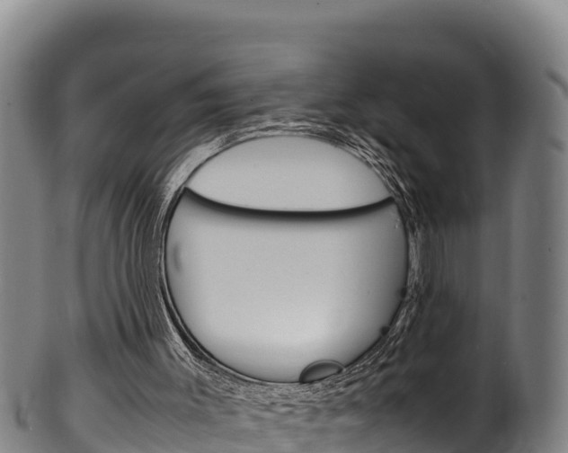 X0000100380003200806060837