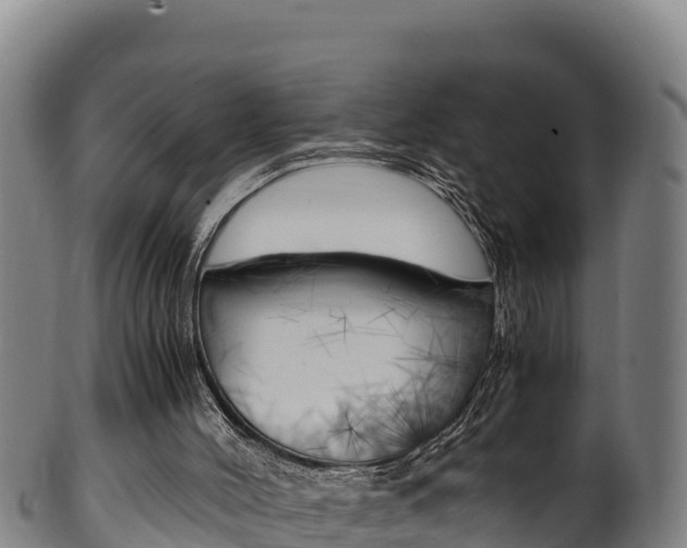 X0000100380004200806060837
