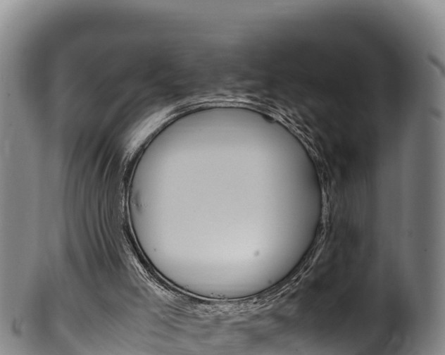 X0000100380005200806060837
