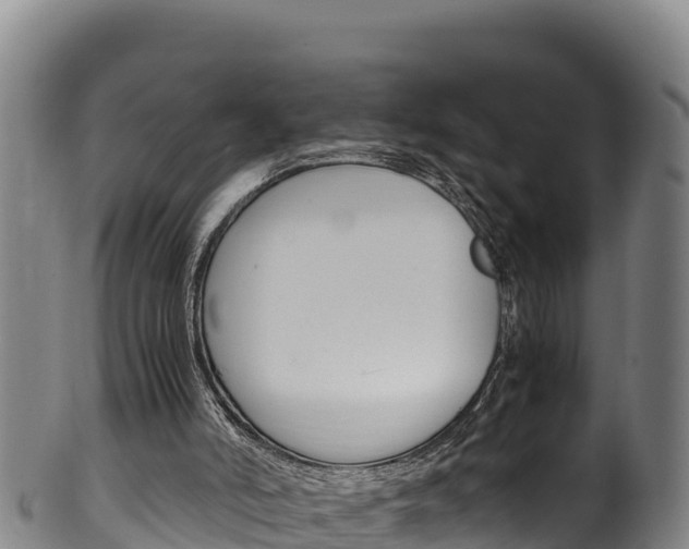X0000100380006200806060837