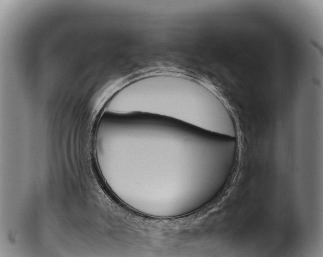 X0000100380007200806060837